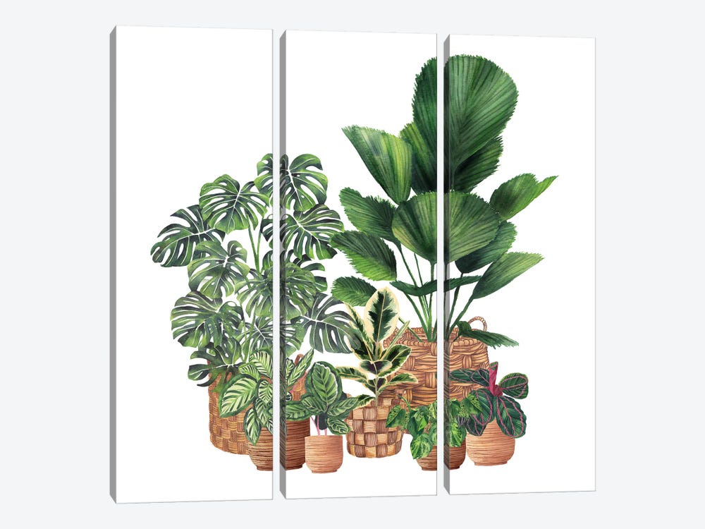 House Plants I by Ana Moguš 3-piece Canvas Art Print