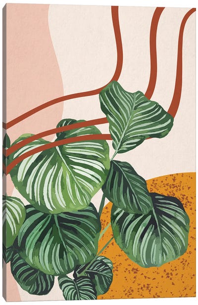 Abstract Calathea Orbifolia Leaves Canvas Art Print - Ana Moguš