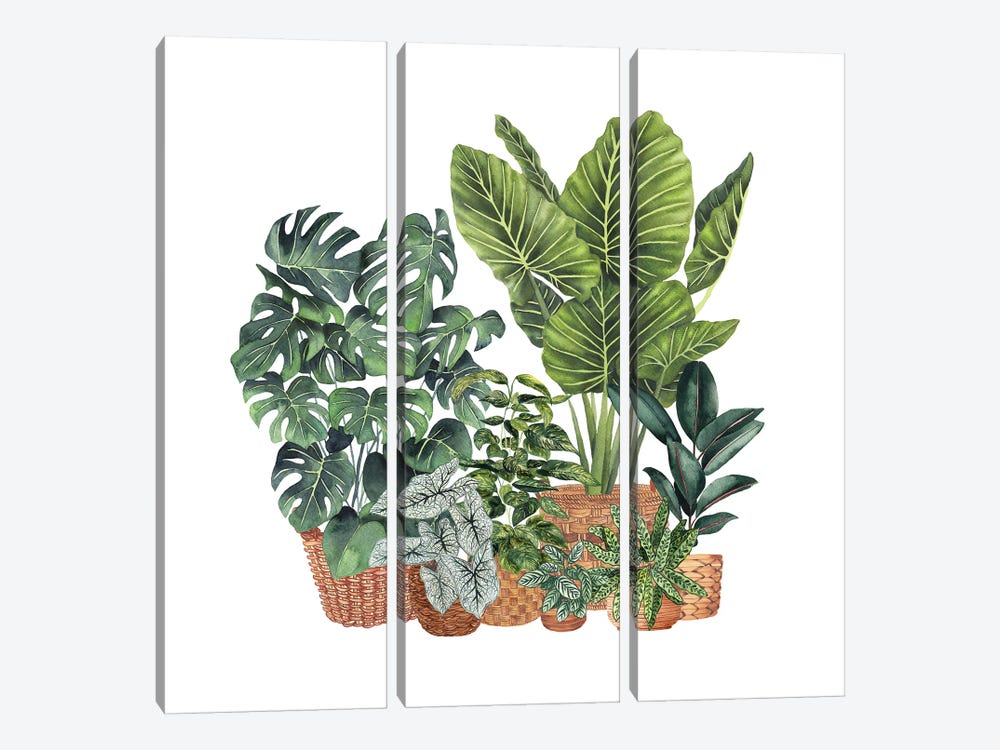 House Plants V by Ana Moguš 3-piece Canvas Wall Art