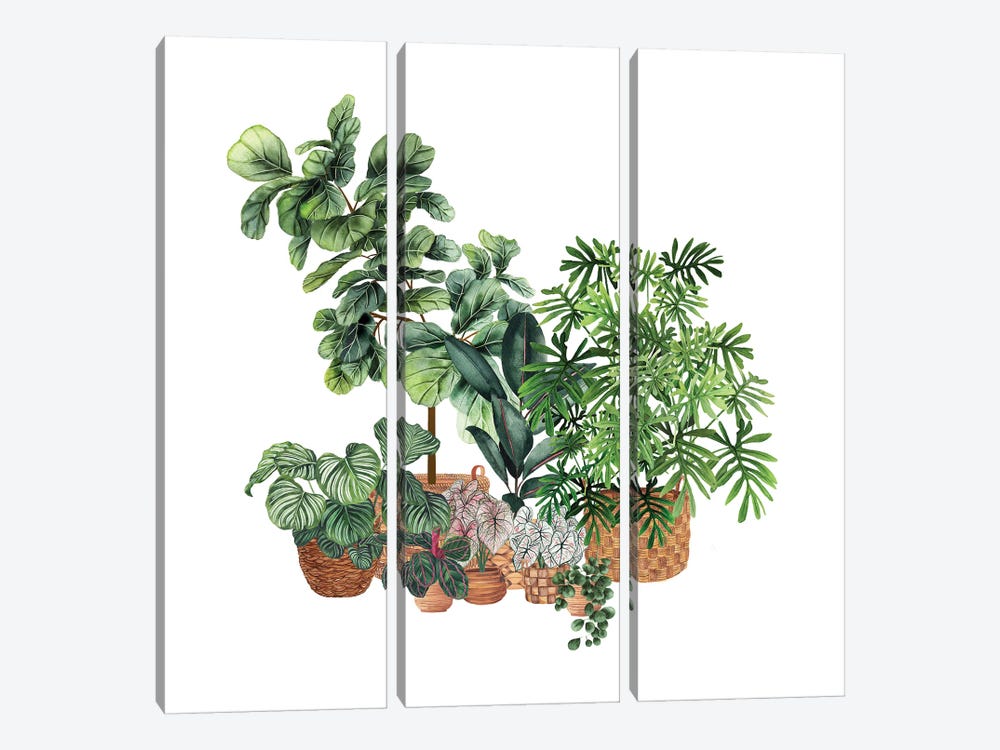 House Plants VI by Ana Moguš 3-piece Art Print