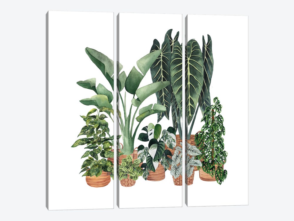 House Plants VIII by Ana Moguš 3-piece Canvas Print
