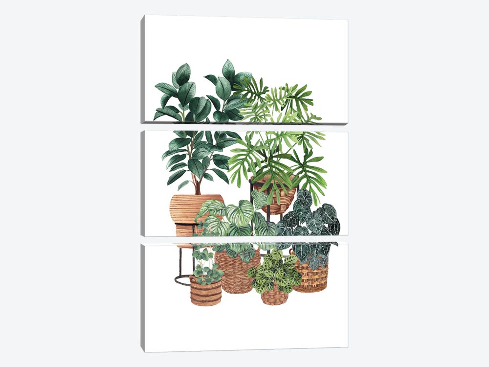 House Plants XII by Ana Moguš 3-piece Canvas Print