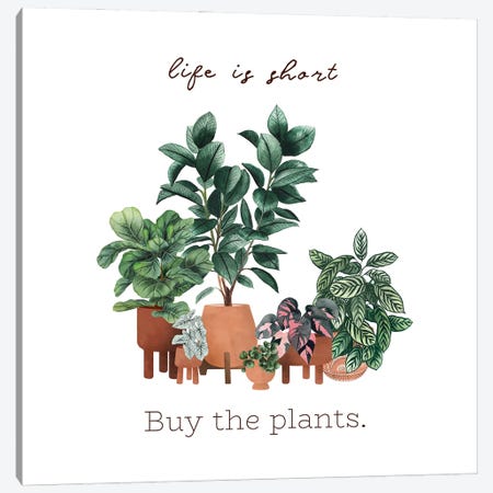 Life Is Short, Buy The Plants Canvas Print #MGZ118} by Ana Moguš Canvas Art