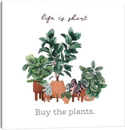 Life Is Short, Buy The Plants Canvas Art Print - Ana Moguš