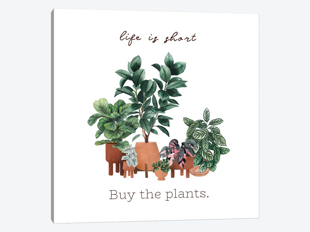 Life Is Short, Buy The Plants by Ana Moguš 1-piece Canvas Artwork