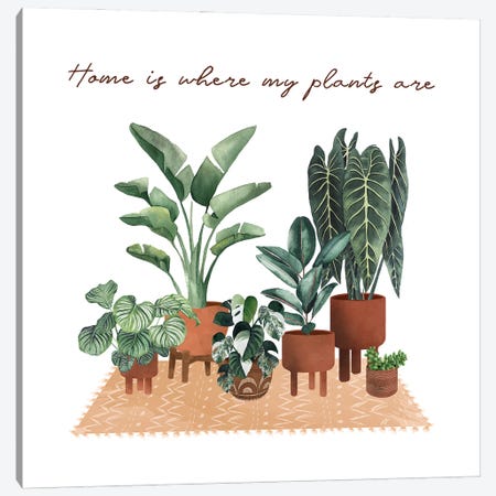 Home Is Where My Plants Are Canvas Print #MGZ119} by Ana Moguš Canvas Artwork