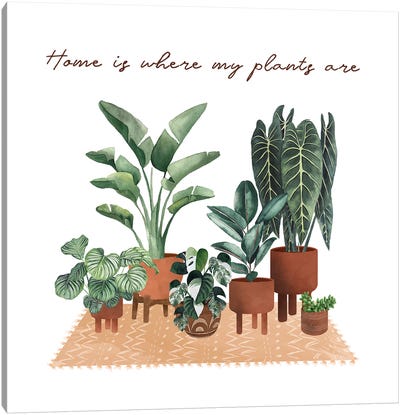 Home Is Where My Plants Are Canvas Art Print - Ana Moguš