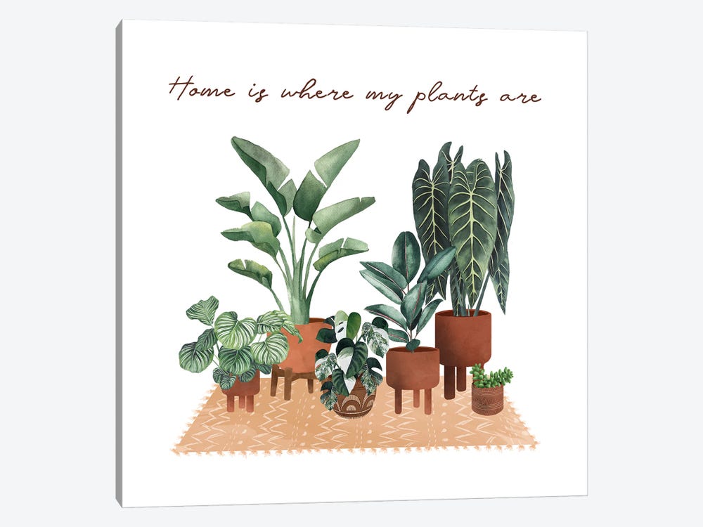 Home Is Where My Plants Are by Ana Moguš 1-piece Canvas Art Print