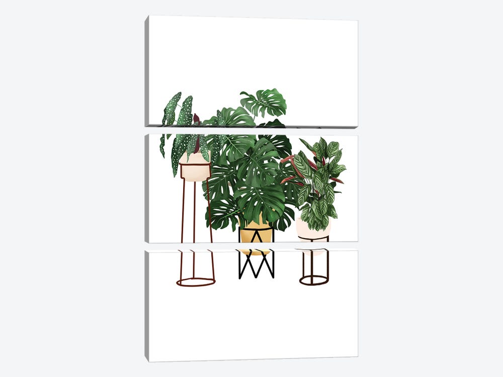 Potted Plants I by Ana Moguš 3-piece Art Print