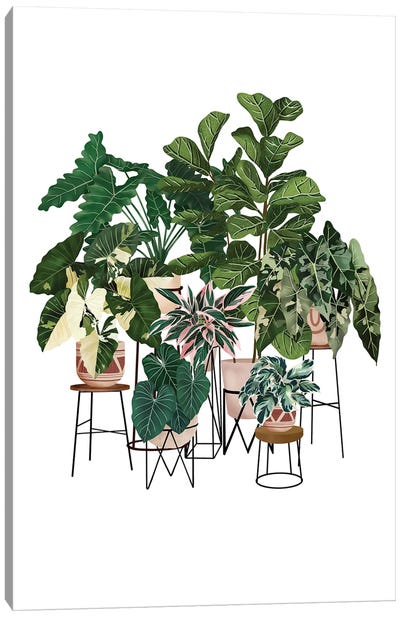 Potted Plants III Canvas Art Print - Ana Moguš