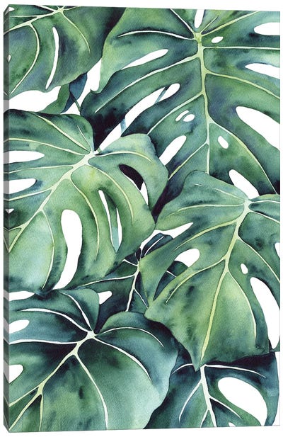 Monstera Deliciosa Leaves Canvas Art Print - Floral & Botanical Patterns