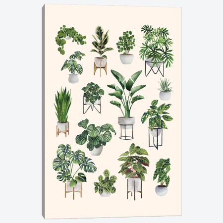 House Plants Collection I Canvas Print #MGZ143} by Ana Moguš Canvas Print