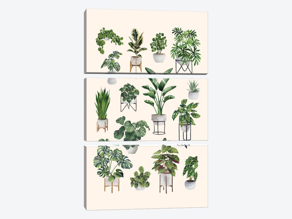 House Plants Collection I by Ana Moguš 3-piece Canvas Artwork