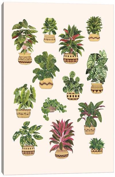 House Plants Collection II Canvas Art Print - Ana Moguš