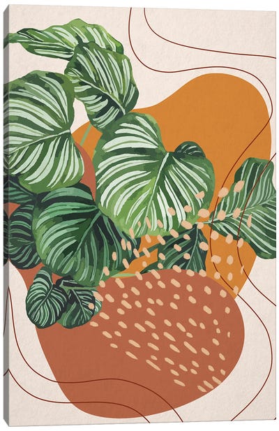 Abstract Calathea Orbifolia I Canvas Art Print - Ana Moguš