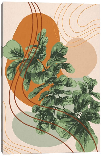 Abstract Fiddle Leaf Fig Canvas Art Print - Ana Moguš