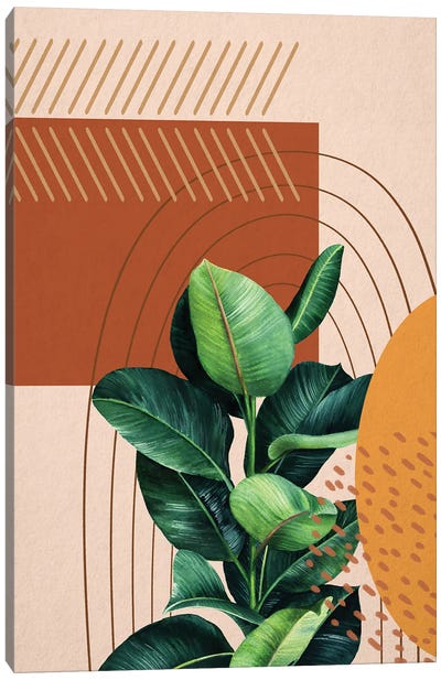 Abstract Ficus Elastica Canvas Art Print - Plant Mom