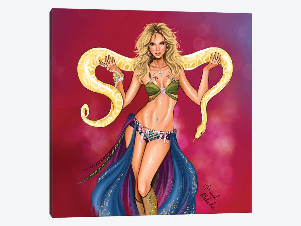 Britney Spears by Armand Mehidri 1-piece Canvas Print