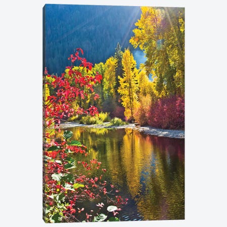 Autumn foliage, Nason Creek Area, Wenatchee National Forest, Washington State, USA Canvas Print #MHE10} by Michel Hersen Canvas Print