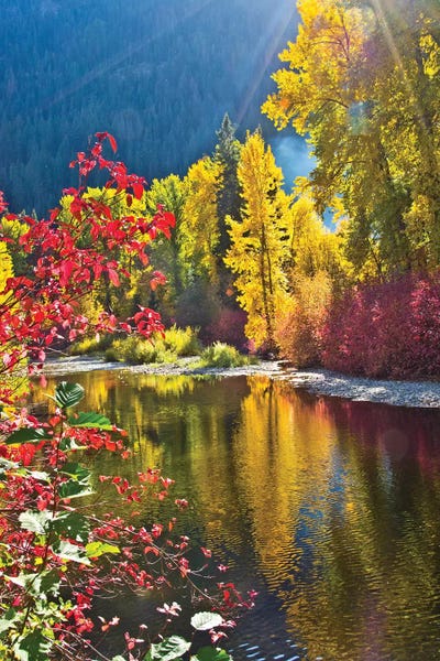 Michel Hersen: Autumn Foliage I, Nason Creek Area, Wenatchee National Forest, Washington State, USA by Michel Hersen