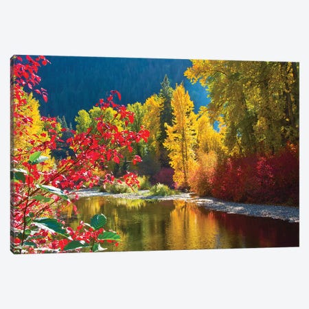 Autumn foliage, Nason Creek Area, Wenatchee National Forest, Washington State, USA Canvas Print #MHE11} by Michel Hersen Art Print