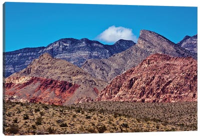 Red Rock Canyon, National Conservation Area, Nevada, USA Canvas Art Print - Nevada Art