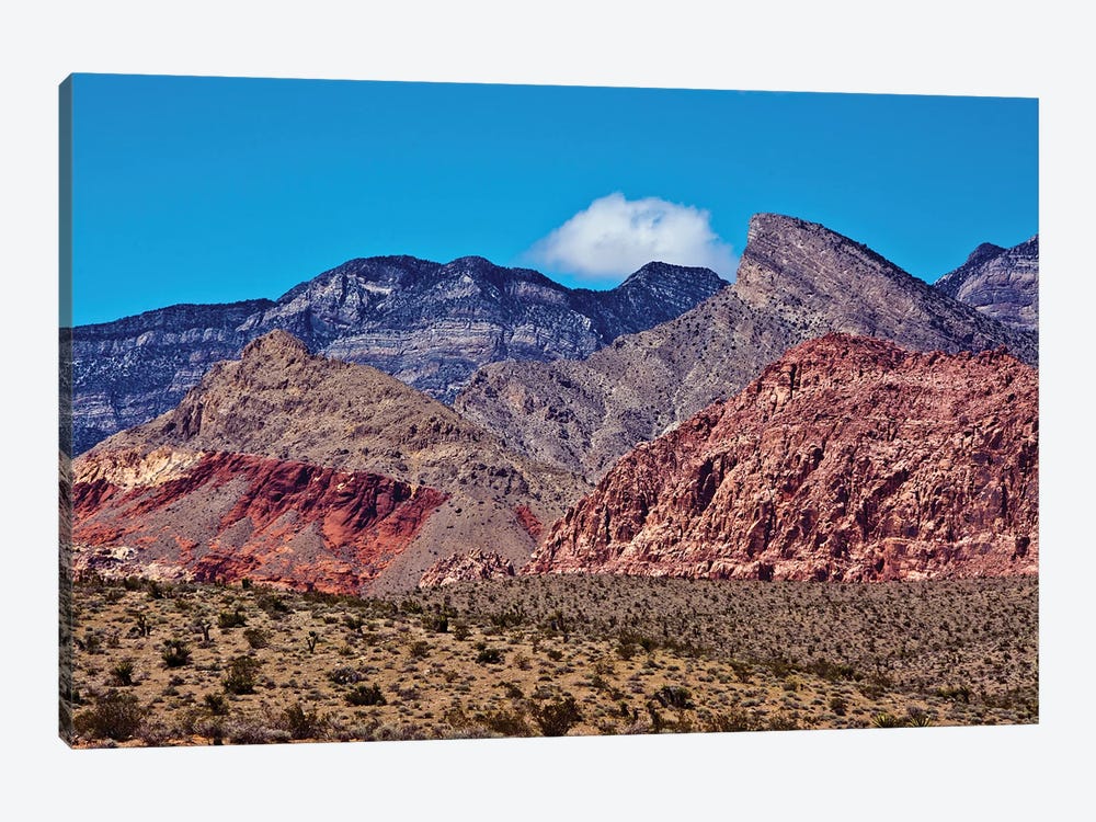 Red Rock Canyon, National Conservation Area, Nevada, USA 1-piece Canvas Print