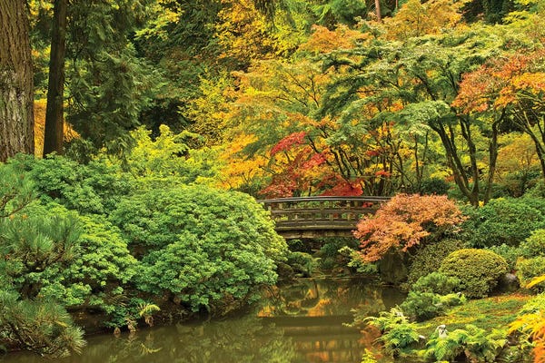 Oregon: Autumn, Moon Bridge, Portland, Oregon, Usa by Michel Hersen