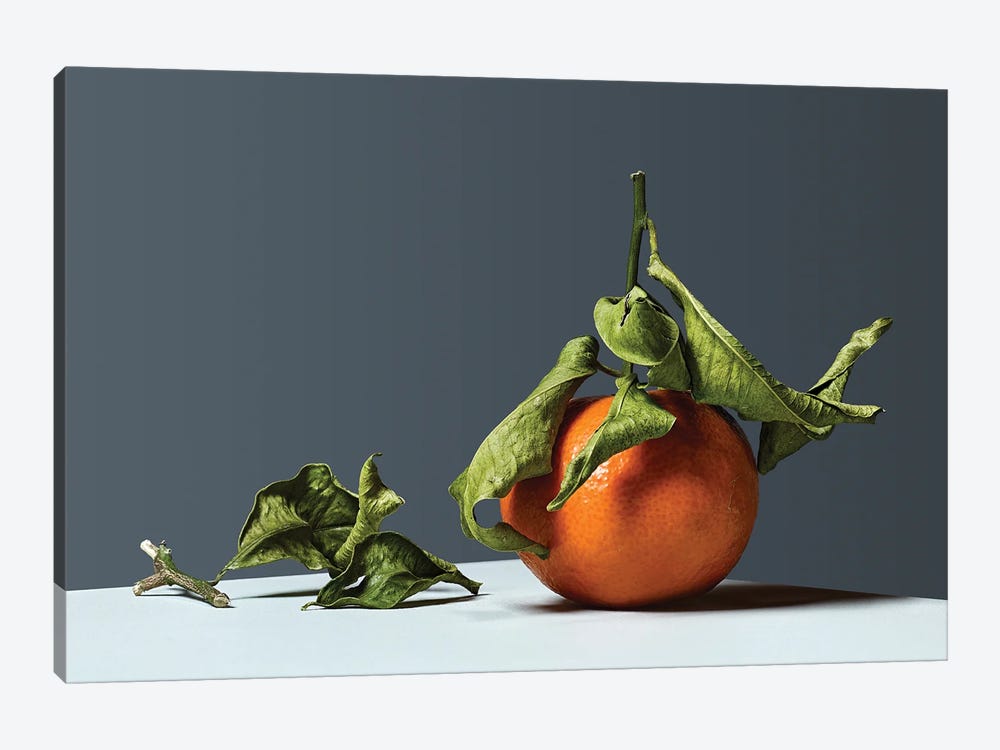 Tangerine by Michael Frank 1-piece Canvas Art Print