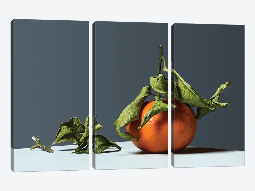Tangerine by Michael Frank 3-piece Art Print