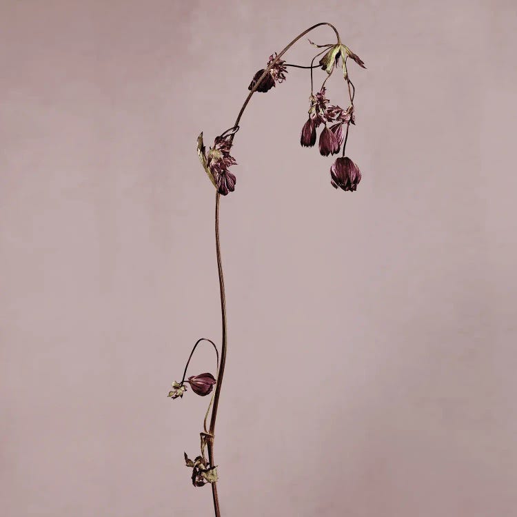 Fatigue XXVIII by Michael Frank wall art