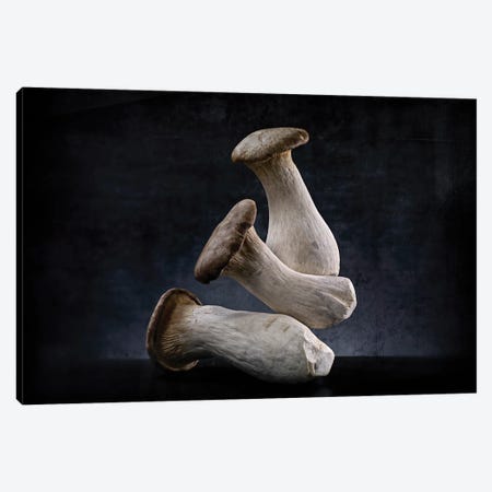 3 King Oyster Canvas Print #MHF2} by Michael Frank Canvas Artwork