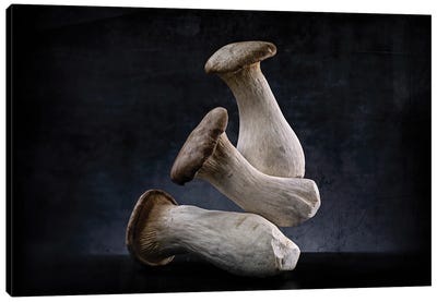 3 King Oyster Canvas Art Print - Mushroom Art