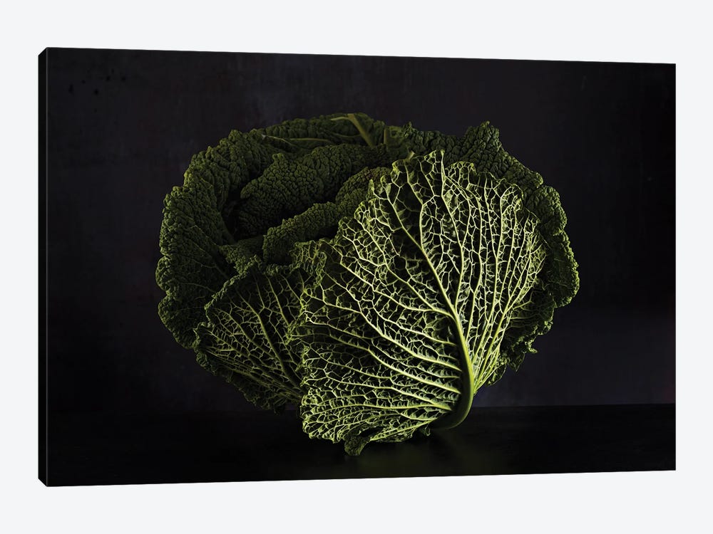 Cabbage (Hommage To Edward Weston) by Michael Frank 1-piece Art Print