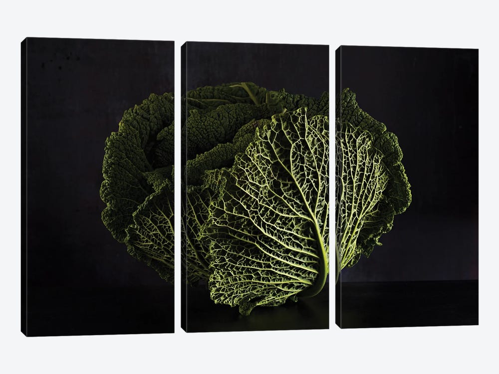 Cabbage (Hommage To Edward Weston) by Michael Frank 3-piece Art Print
