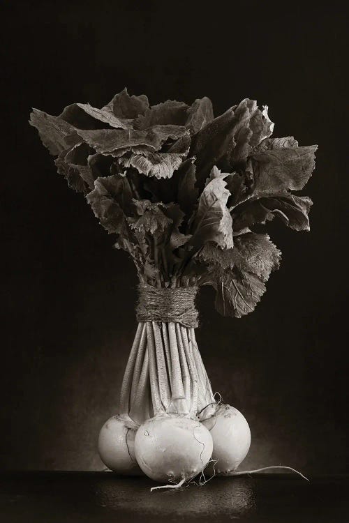 Italian Radish (Hommage To Edward Weston)