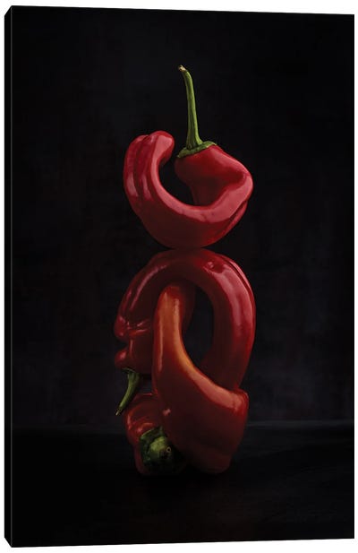 3 Red Pepper (Hommage To Edward Weston) Canvas Art Print - Pepper Art