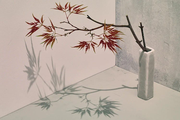 Acer by Michael Frank wall art