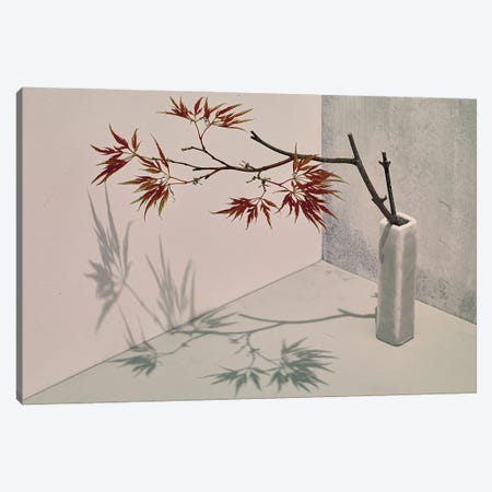 Acer Canvas Print #MHF33} by Michael Frank Canvas Artwork