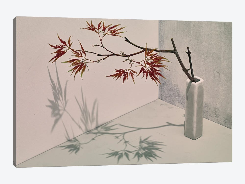 Acer by Michael Frank 1-piece Canvas Wall Art