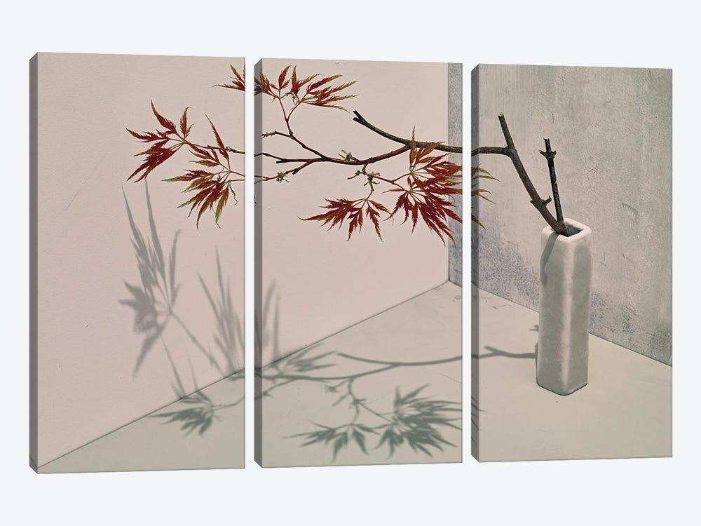 Acer by Michael Frank 3-piece Canvas Art