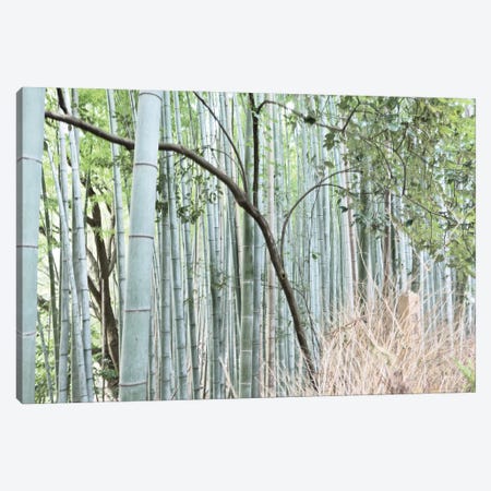 Bamboo Nara Canvas Print #MHF36} by Michael Frank Canvas Print