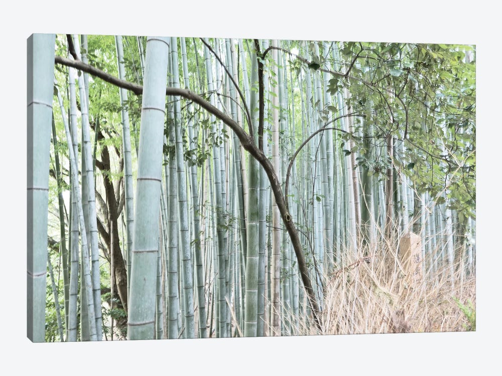 Bamboo Nara by Michael Frank 1-piece Art Print