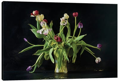 Mollys Tulips Canvas Art Print - Michael Frank
