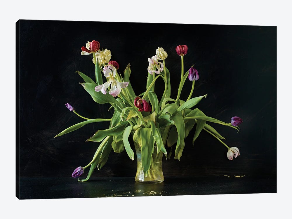 Mollys Tulips by Michael Frank 1-piece Canvas Art Print