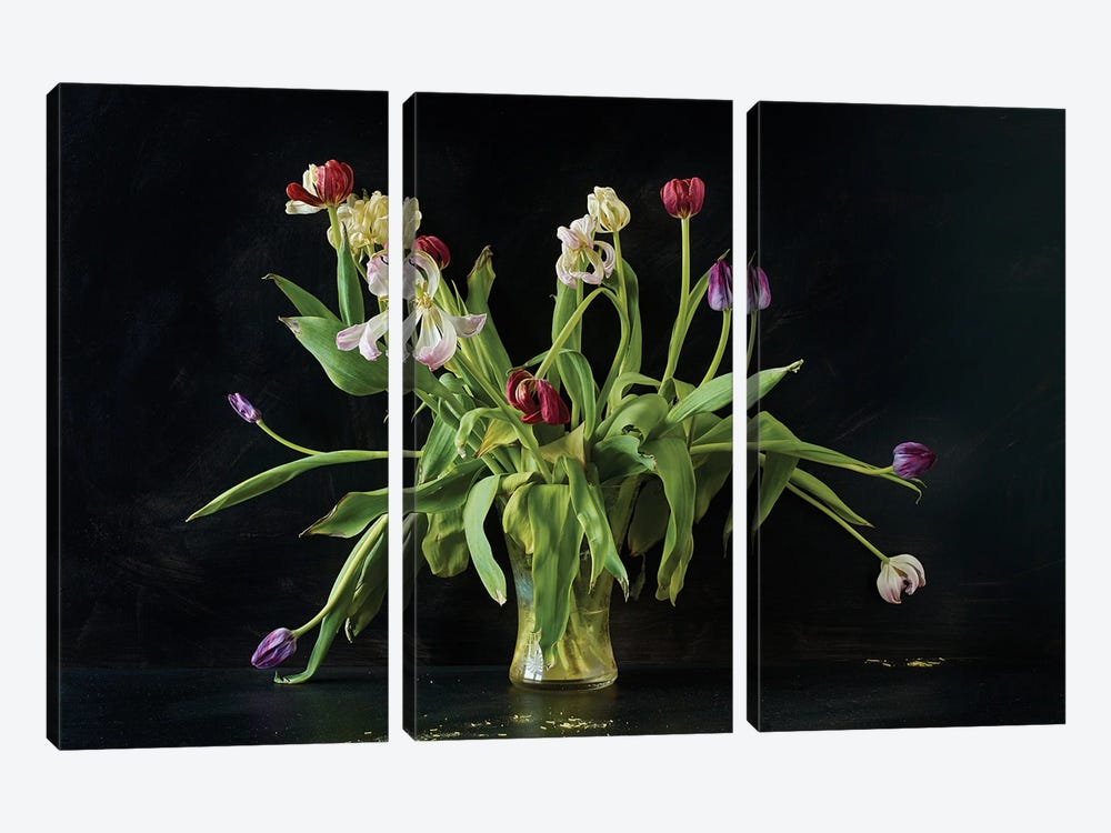 Mollys Tulips by Michael Frank 3-piece Art Print