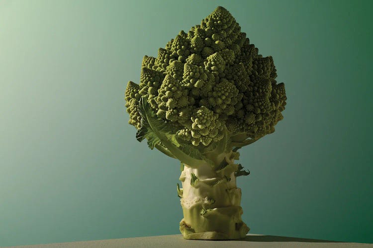 Romanesco LXX