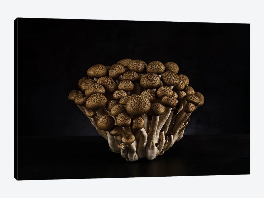 Shimeji Mushrooms by Michael Frank 1-piece Art Print