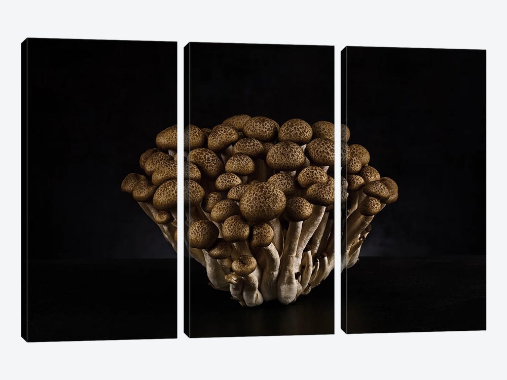 Shimeji Mushrooms by Michael Frank 3-piece Art Print