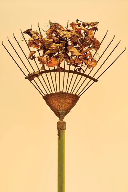 The Rake by Michael Frank wall art